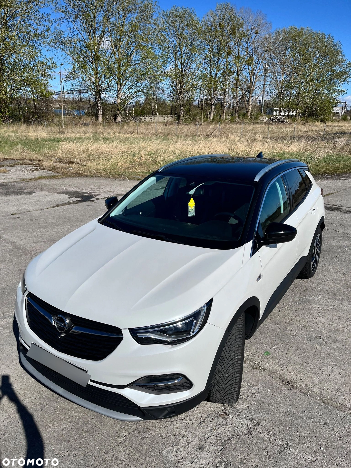 Opel GRANDLAND X 2019 - zdjęcie 2